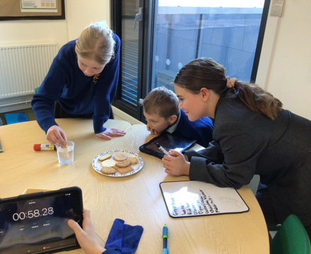 C39127BC 638B 4D23 B3E8 EE674F15C1EC