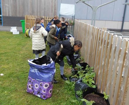 Planting1